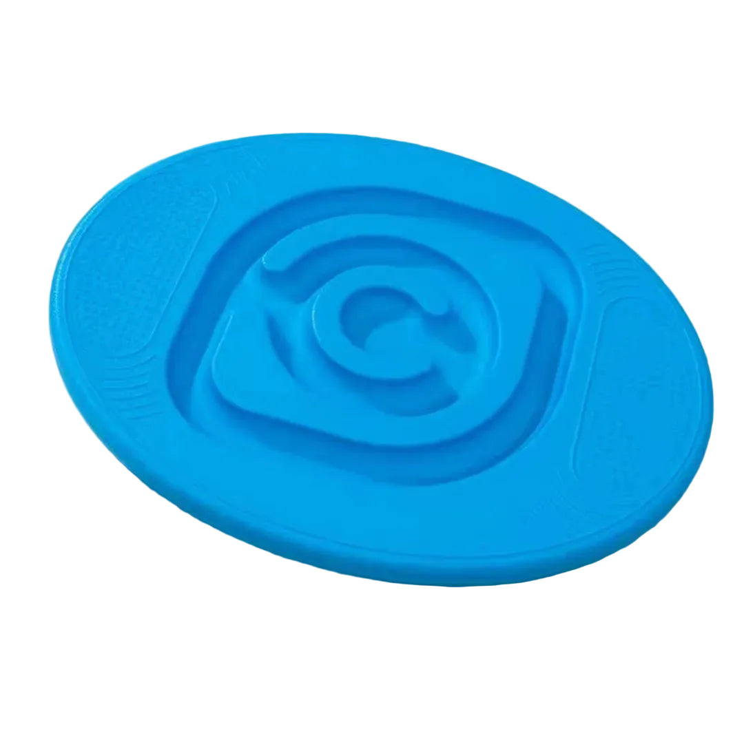 Sensory Training Balance Ring