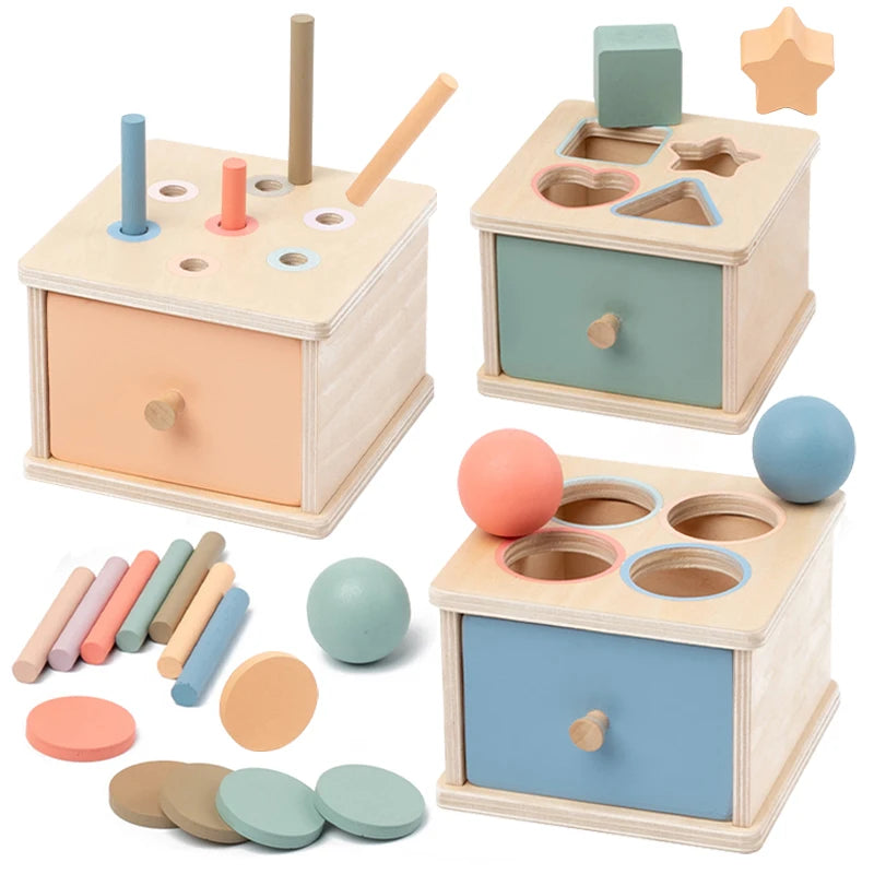 Wooden Shape Sorting Toys
